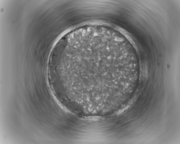 X0000085260853200704092112