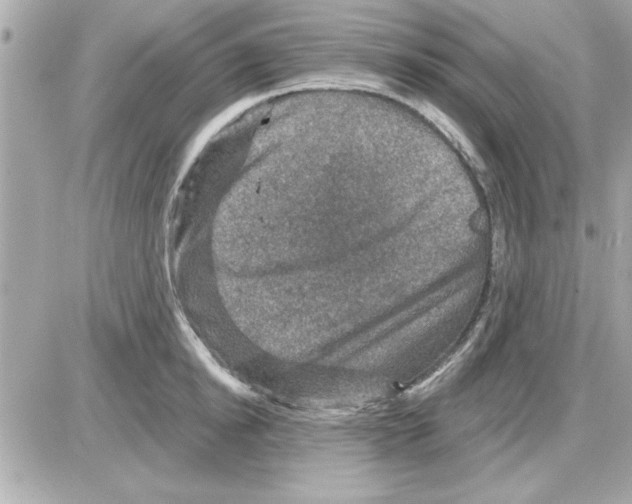 X0000085260854200704092112