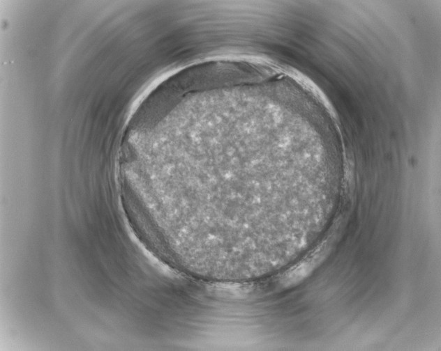 X0000085260855200704092112