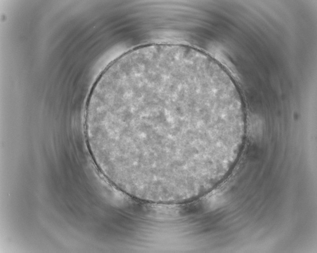 X0000085260856200704092112