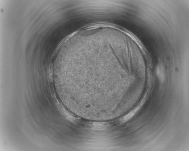 X0000085260857200704092112