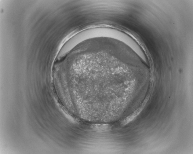 X0000085260858200704092112