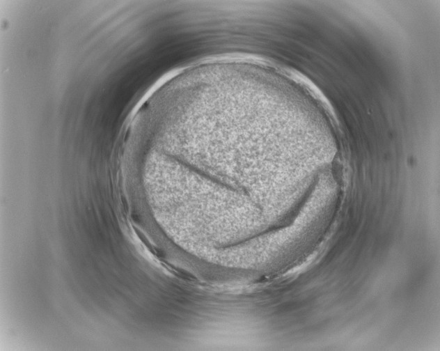 X0000085260860200704092113