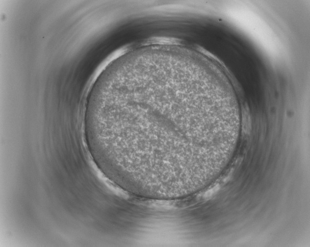 X0000085260861200704092113