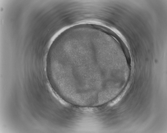 X0000085260862200704092113