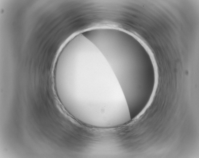 X0000085260864200704092113