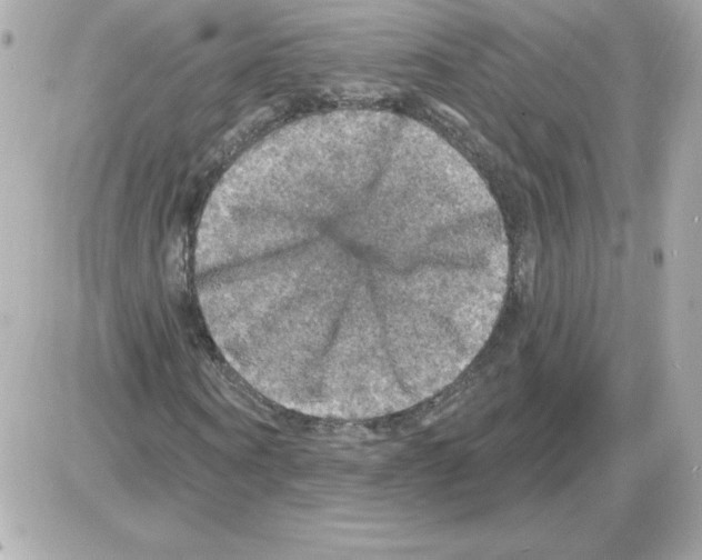 X0000085260866200704092112