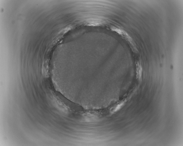 X0000085260868200704092112