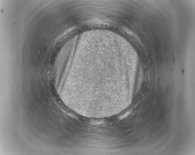 X0000085260870200704092112