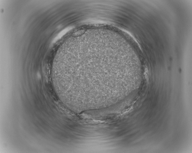 X0000085260871200704092112