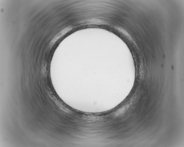 X0000085260873200704092112