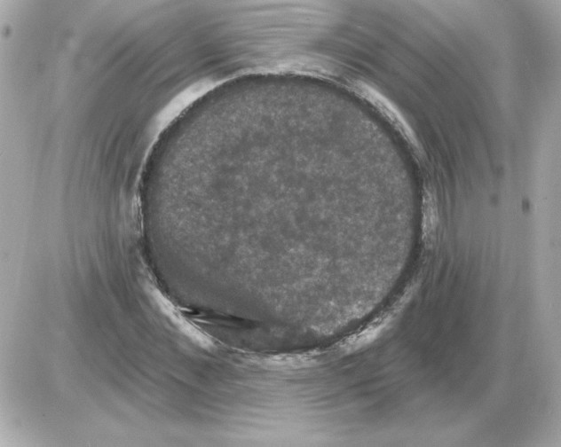 X0000085260876200704092112