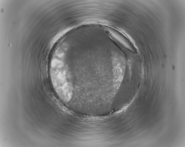 X0000085260877200704092112