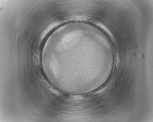 X0000085260878200704092112