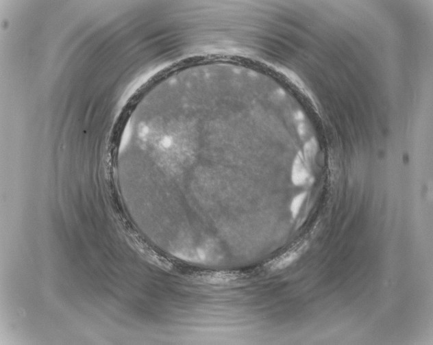 X0000085260879200704092112