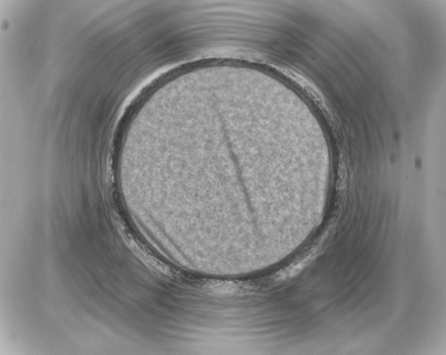 X0000085260880200704092112