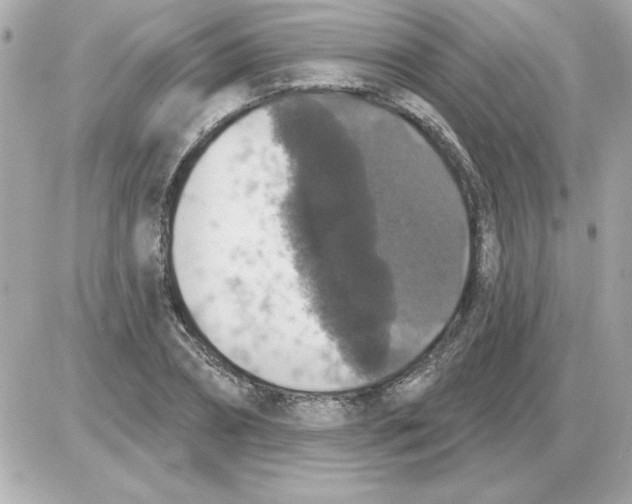 X0000085260882200704092111