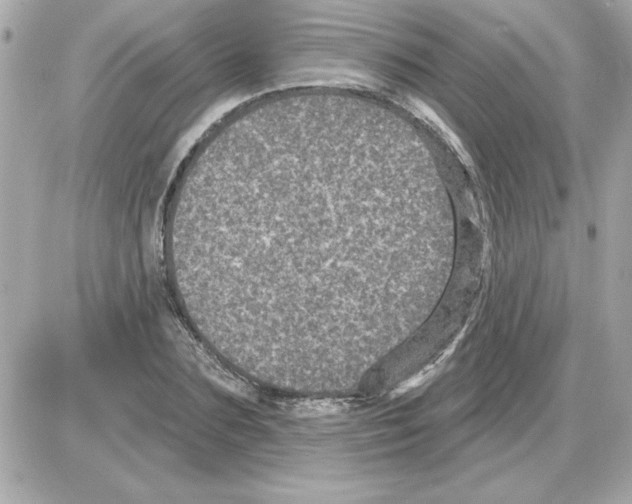 X0000085260883200704092111