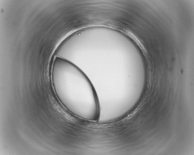 X0000085260884200704092111