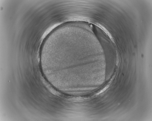 X0000085260885200704092111