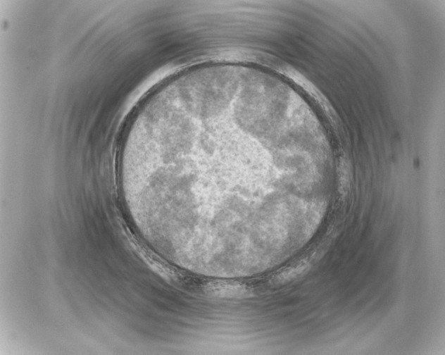 X0000085260886200704092111