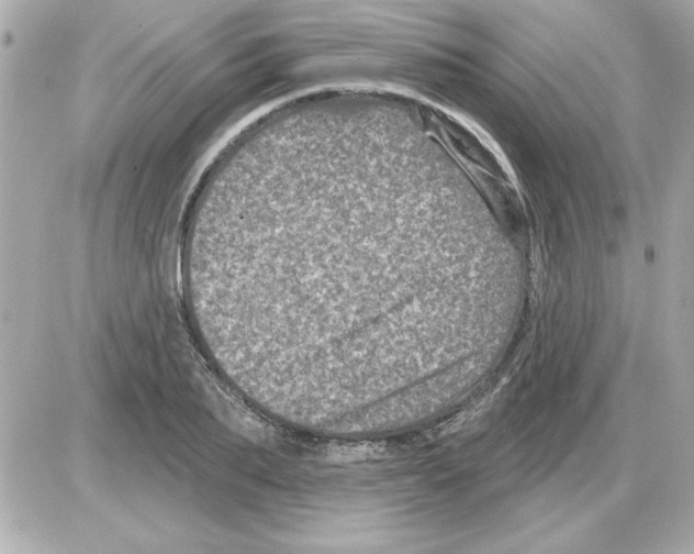 X0000085260887200704092111