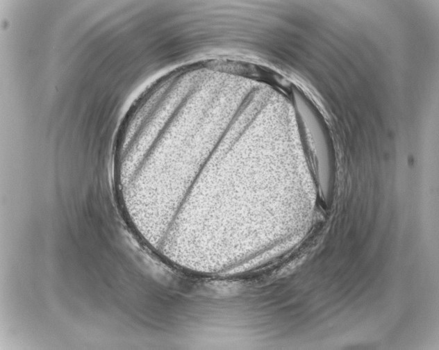 X0000085260888200704092111