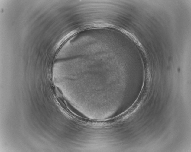 X0000085260889200704092111