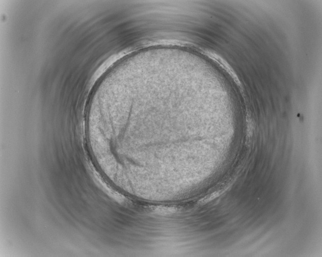 X0000085260890200704092111