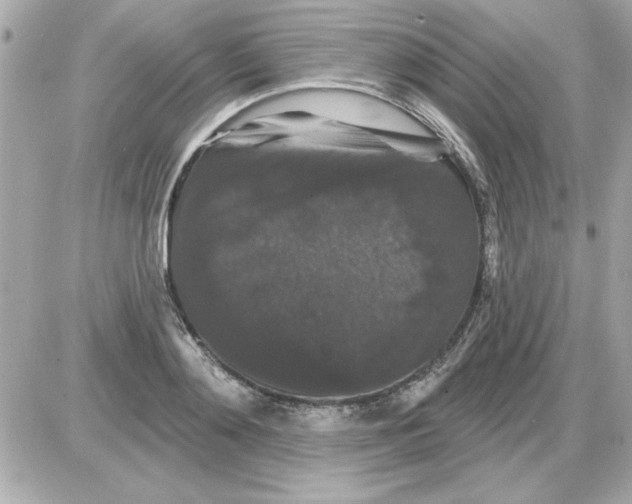 X0000085260892200704092111