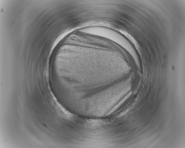 X0000085260894200704092111