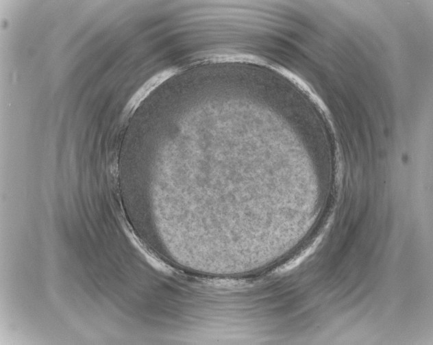 X0000085260897200704092111