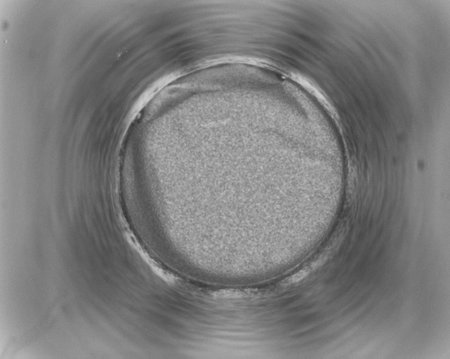 X0000085260898200704092111