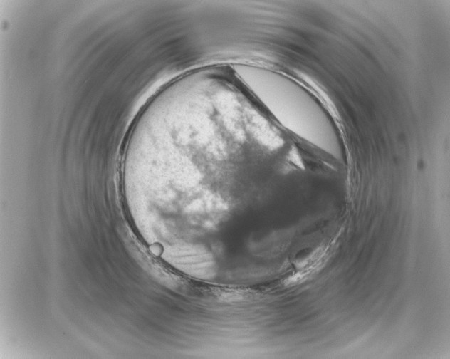 X0000085260899200704092111