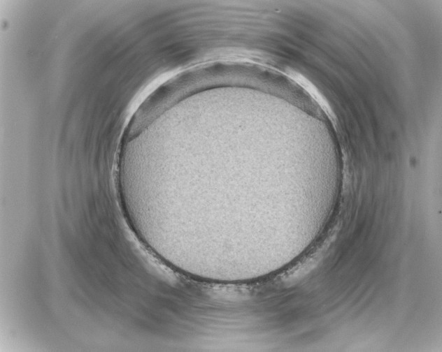 X0000085260901200704092111