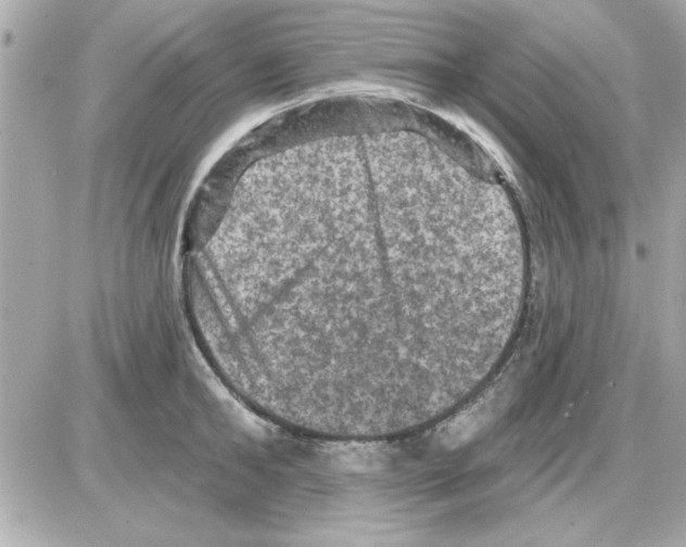 X0000085260902200704092111