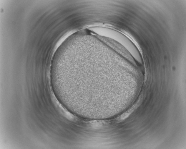 X0000085260906200704092111