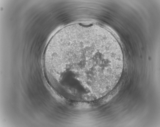 X0000085260907200704092111