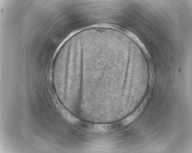 X0000085260908200704092111