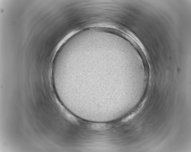 X0000085260909200704092111