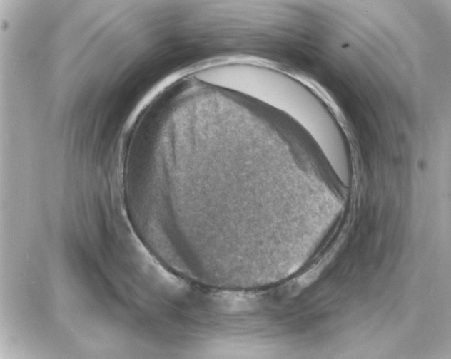 X0000085260910200704092111