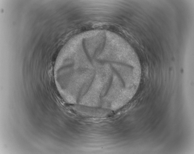 X0000085260914200704092110