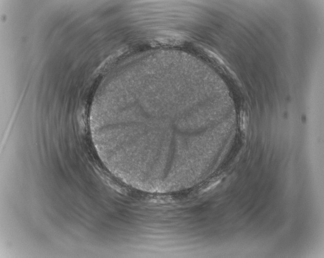 X0000085260915200704092110