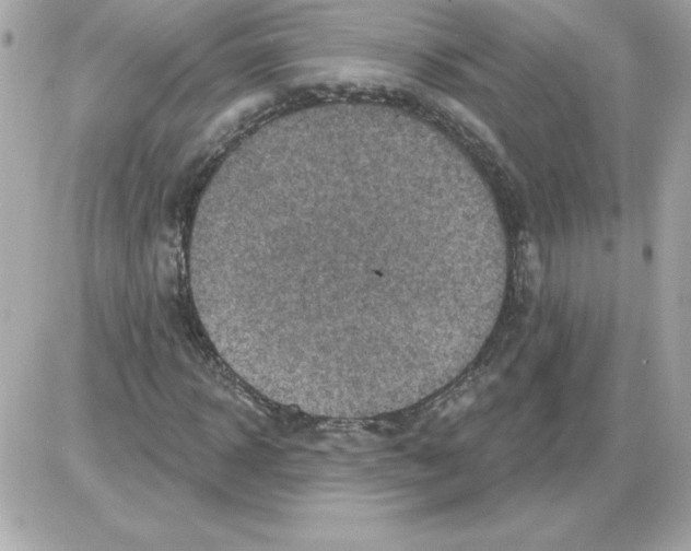 X0000085260918200704092110