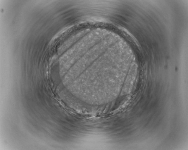 X0000085260919200704092110