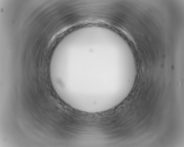 X0000085260920200704092110