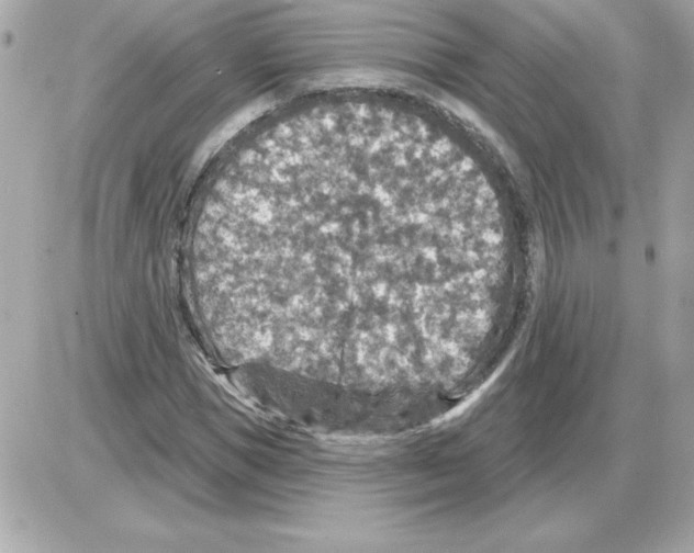 X0000085260921200704092110