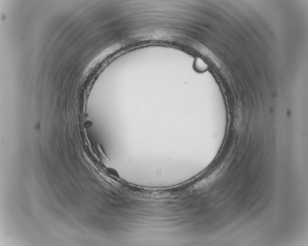 X0000085260922200704092110