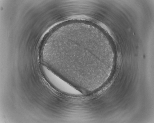 X0000085260923200704092110