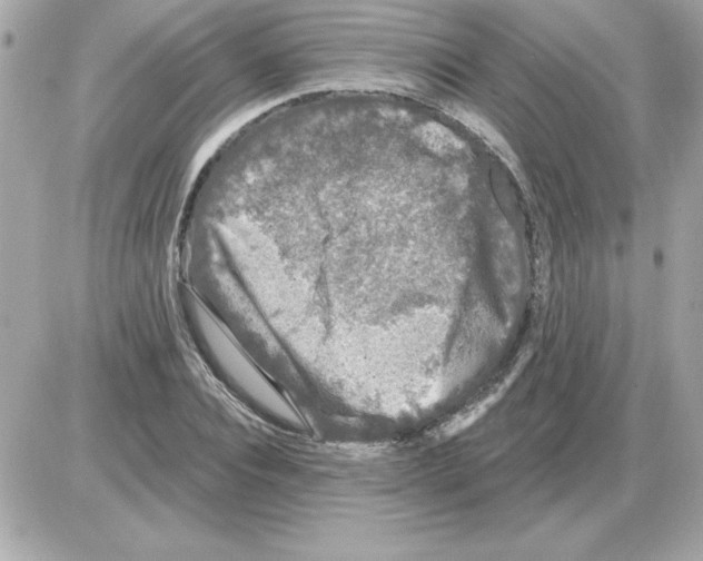 X0000085260928200704092110